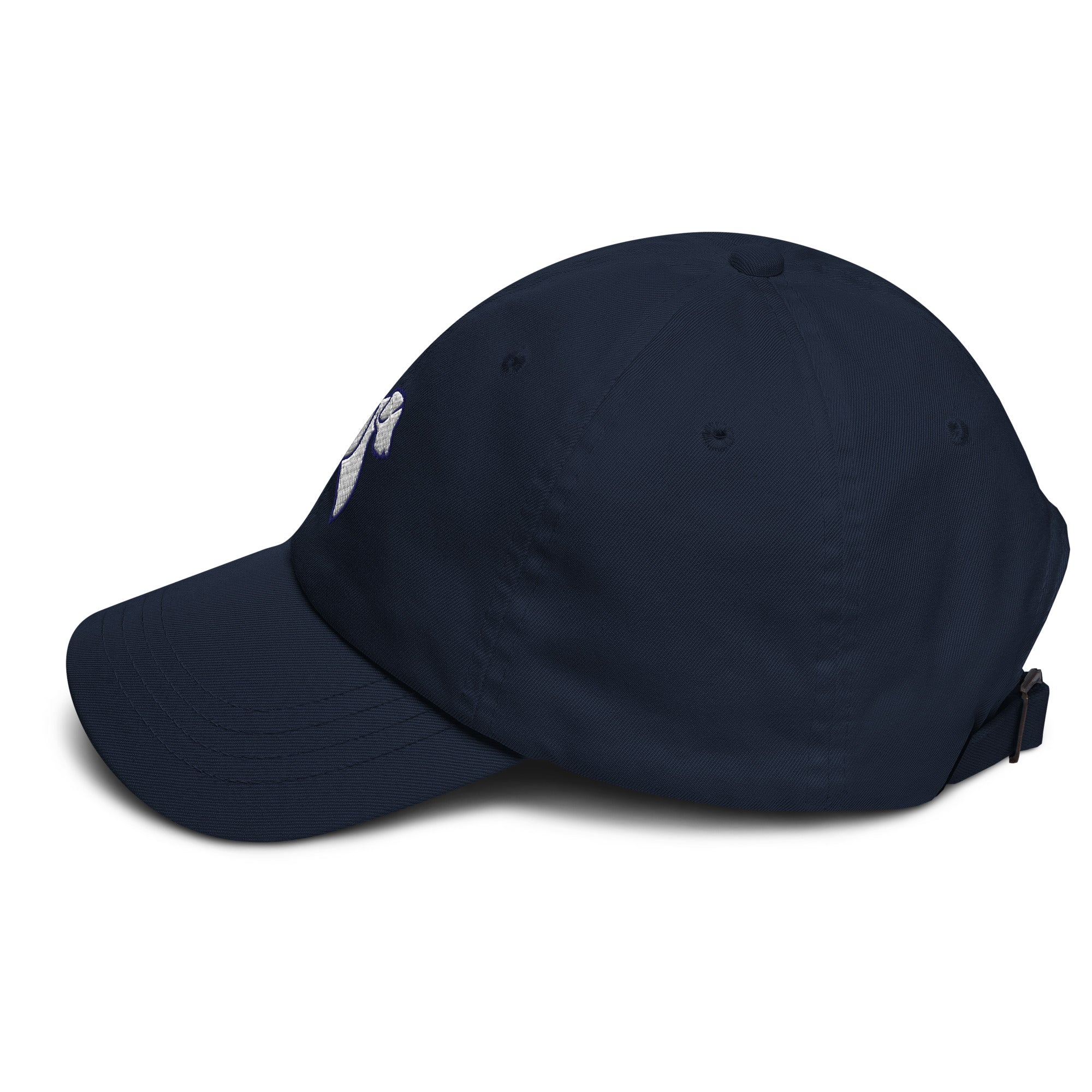 TBD Embroidered Profile Cap - Navy Blue – The Two Brown Dogs